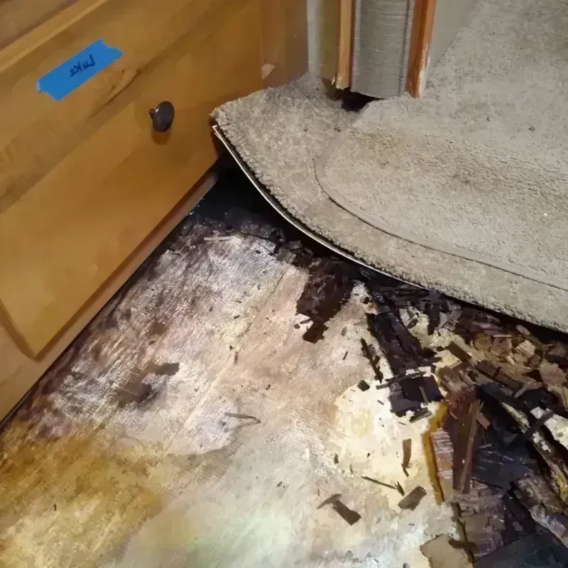 Wood Floor Water Damage in Northgate, OH